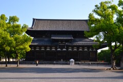 朝の東寺　⑤。。。！