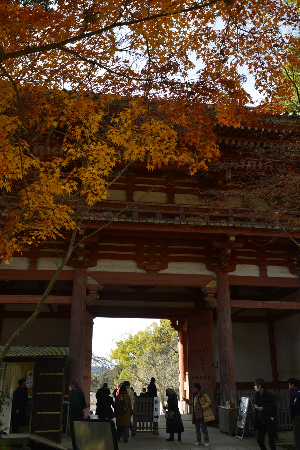 残秋の寺　①。。。！