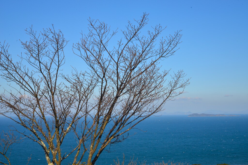 遥か海原の果て。。。！