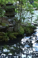 新緑の京都天授庵　④。。。！