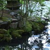 新緑の京都天授庵　④。。。！