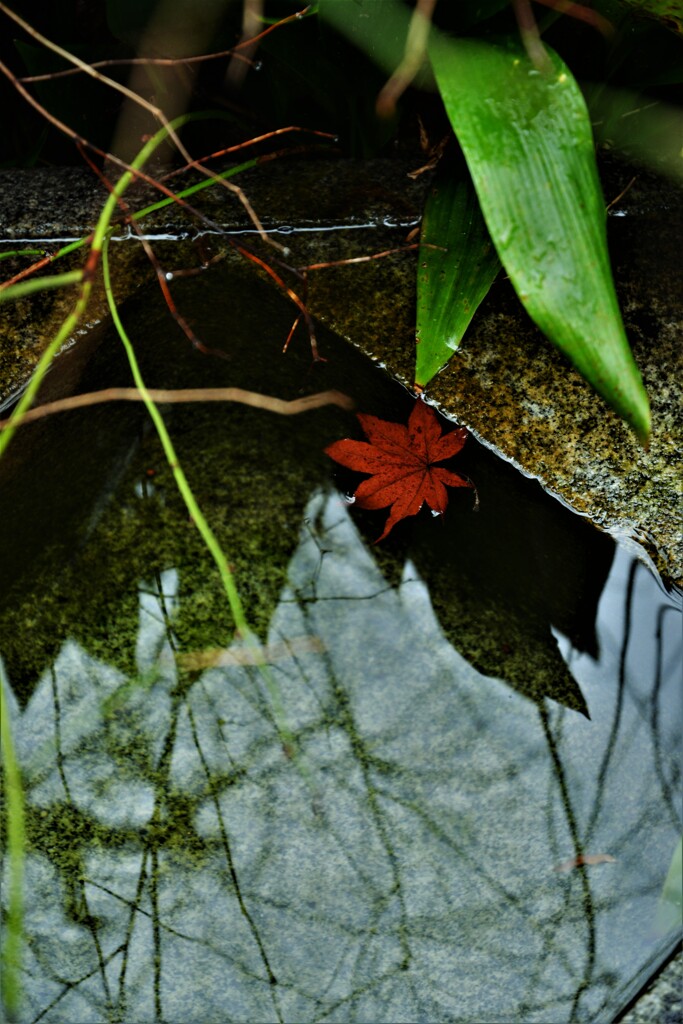 庚申庵点描　③。。。！