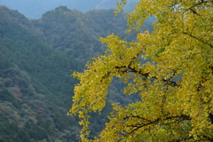 秋の残像　。。。！