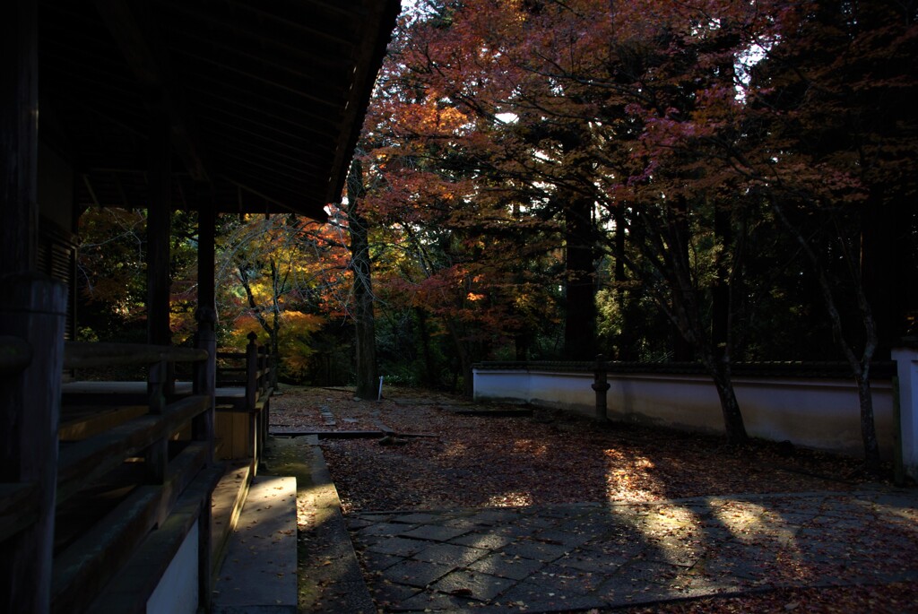 山寺の紅葉。。。！