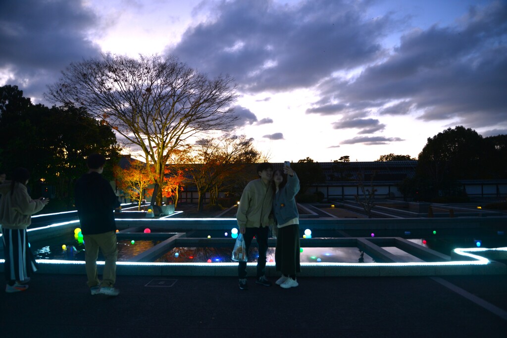 初冬の二の丸庭園　➂。。。！