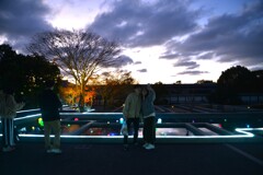 初冬の二の丸庭園　➂。。。！