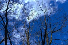 秋空百景　⑤。。。！