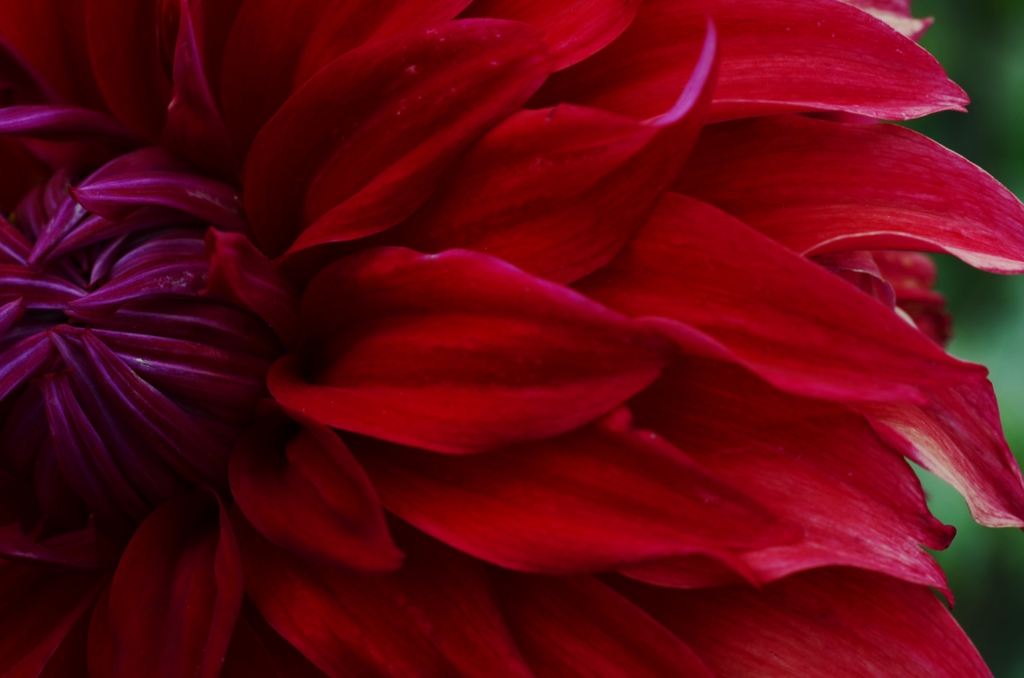 秋の花園　③　。。。！