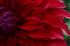 秋の花園　③　。。。！