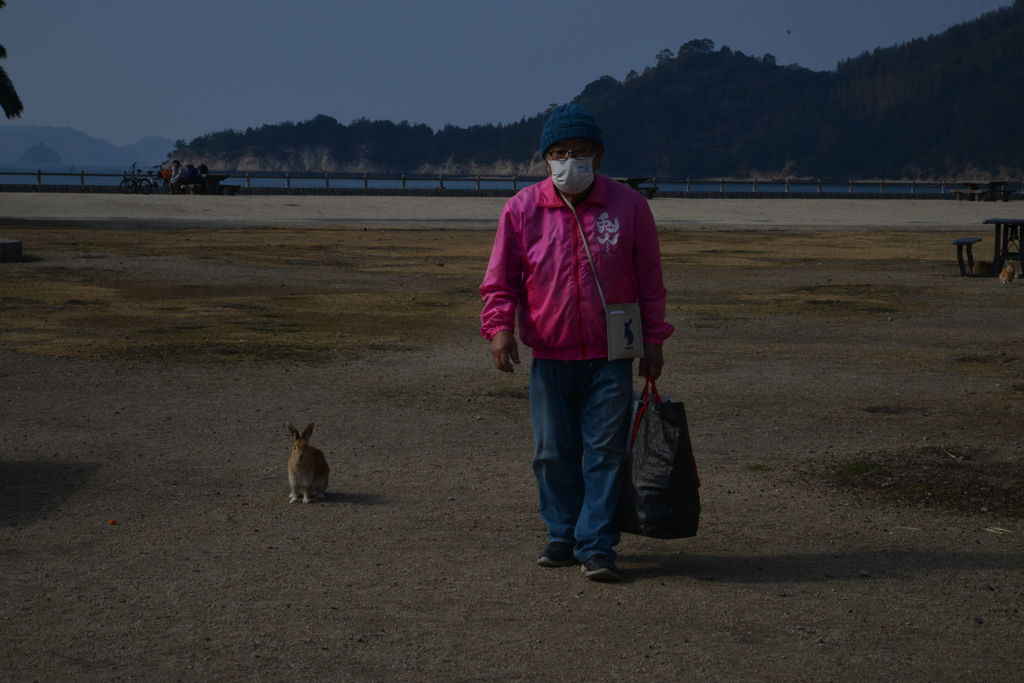 愛。love。ラビット君　①。。。！