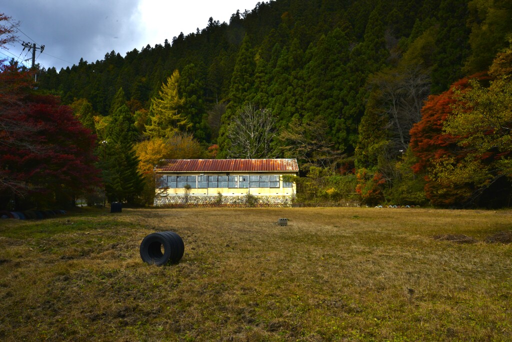 廃校の秋。。。！