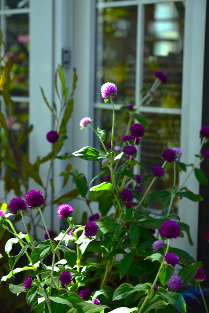 秋色の言葉　➂。。。！