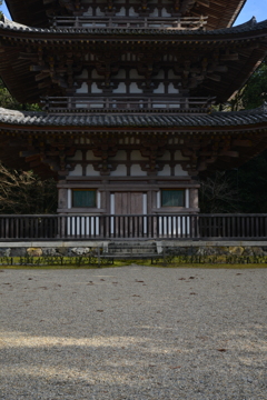 静かに春を待つ　⑤。。。！