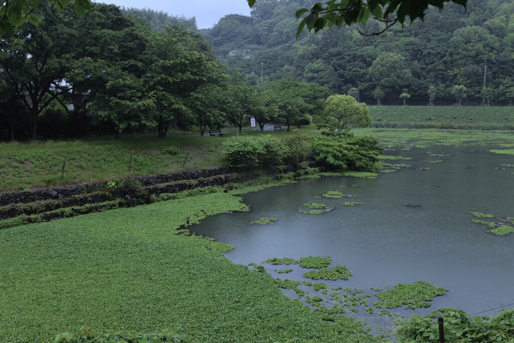 雨の日の情景　①。。。！