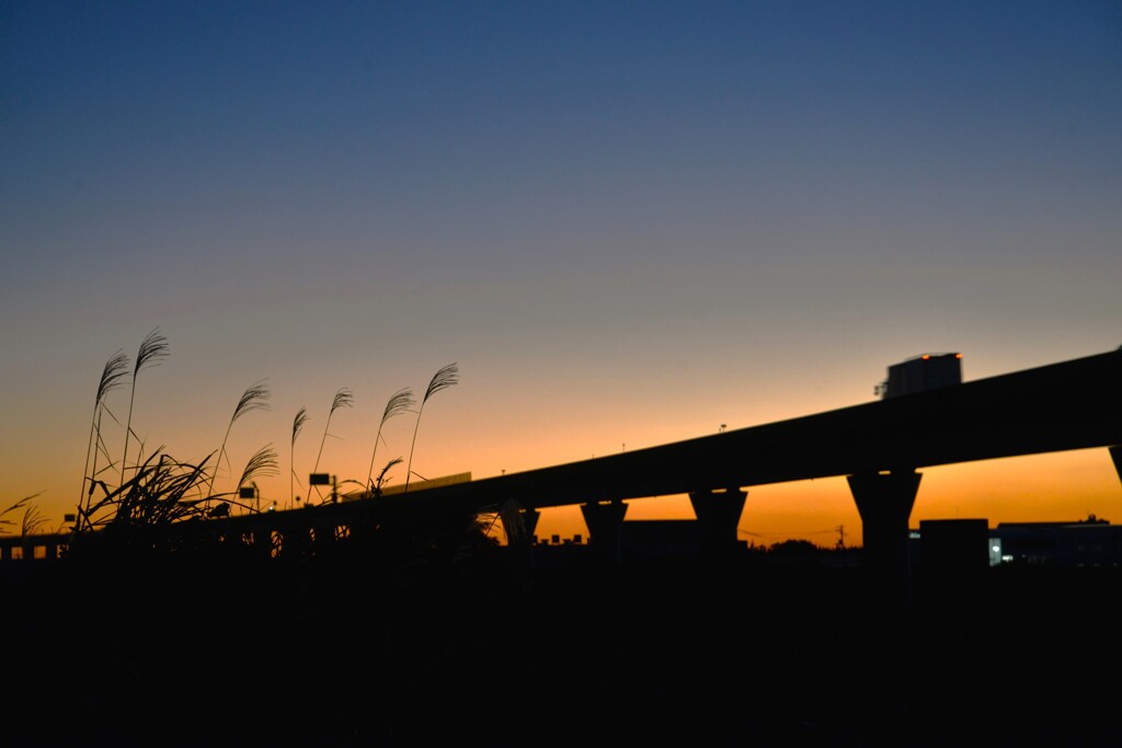 秋が暮れゆく　。。。！