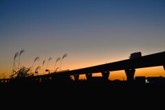 秋が暮れゆく　。。。！