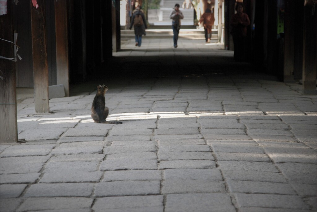 俺はアウトロー。。。！