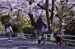 春の中で遊ぶ。。。！