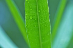 清々しく。。。！
