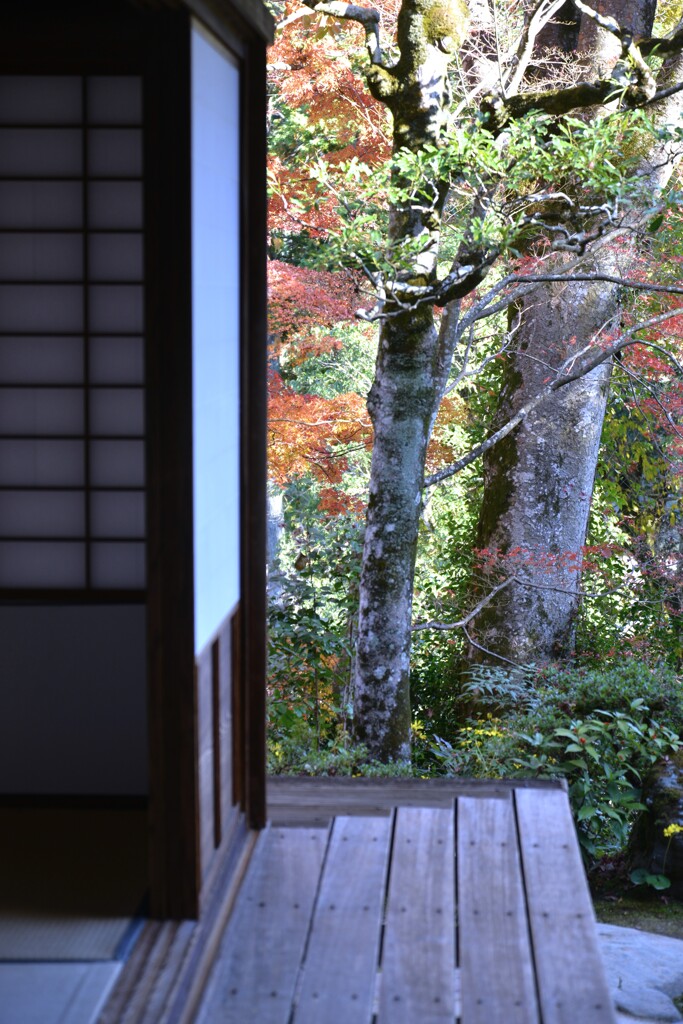 大洲臥龍山荘の秋　①。。。！