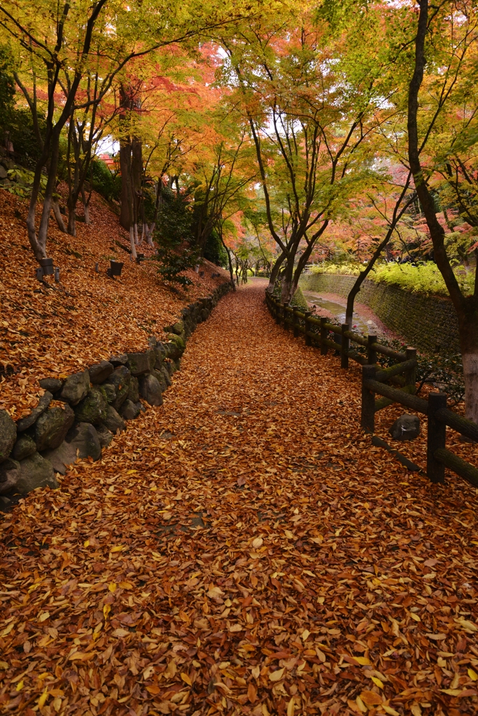 錦絵の古都【北野天満宮編】　②