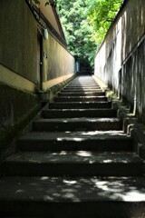 陽光さす場所　①。。。！