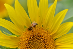 夏の恋人　②。。。！