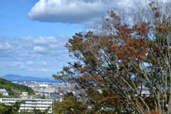 秋空百景　➂。。。！