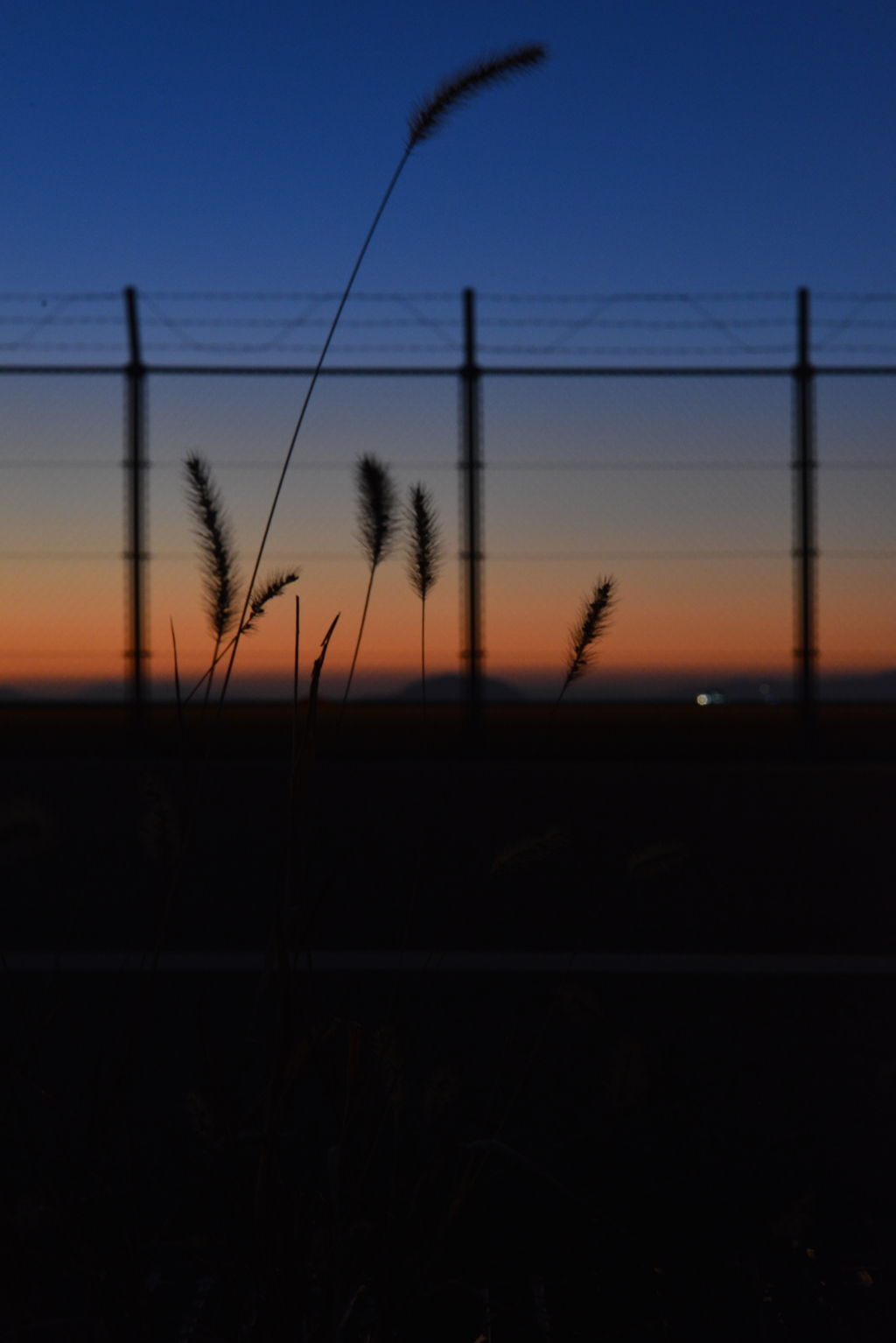 夕暮れのフェンス通り　➂。。。！