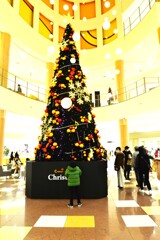 メリークリスマス　➂。。。！
