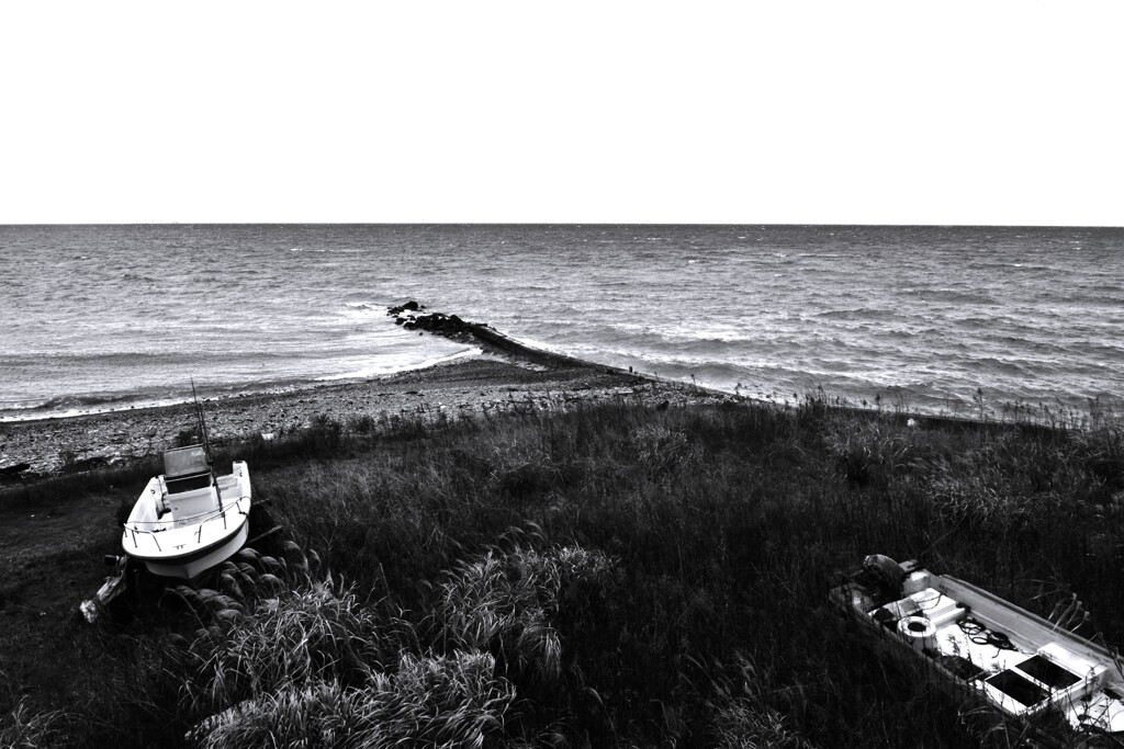 荒涼たる光景。。。！