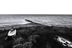 荒涼たる光景。。。！