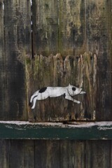 ねこの細道．．可愛い猫たち　⑥。。。！