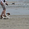 夏の戯れ。。。！