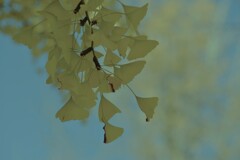 一夜の夢　②。。。！