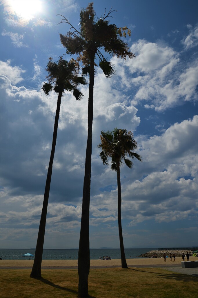 瀬戸内ワイキキビーチ　①。。。！