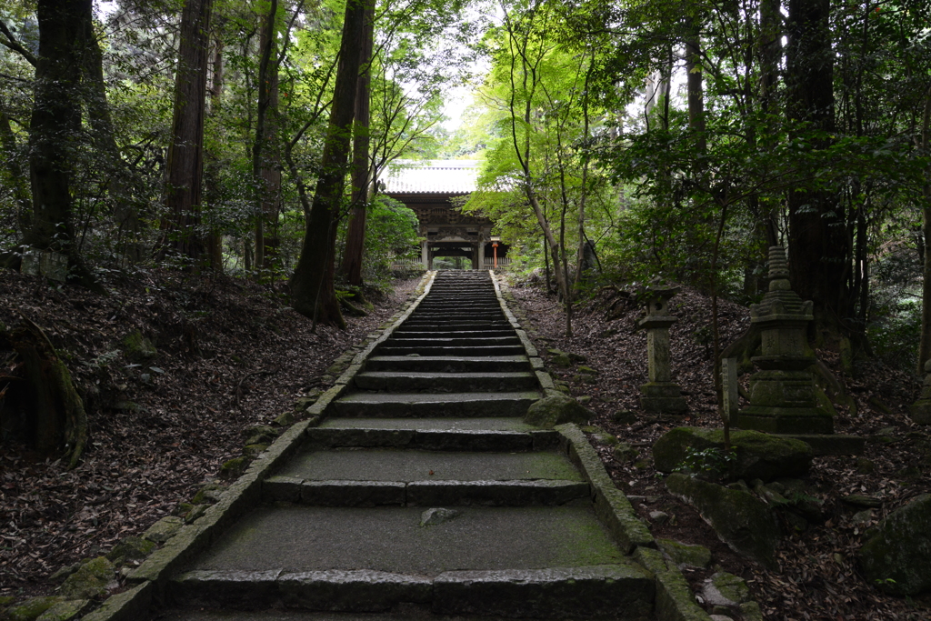 山寺に秋の訪れ　①。。。！