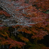 郷愁の果て　➂。。。！