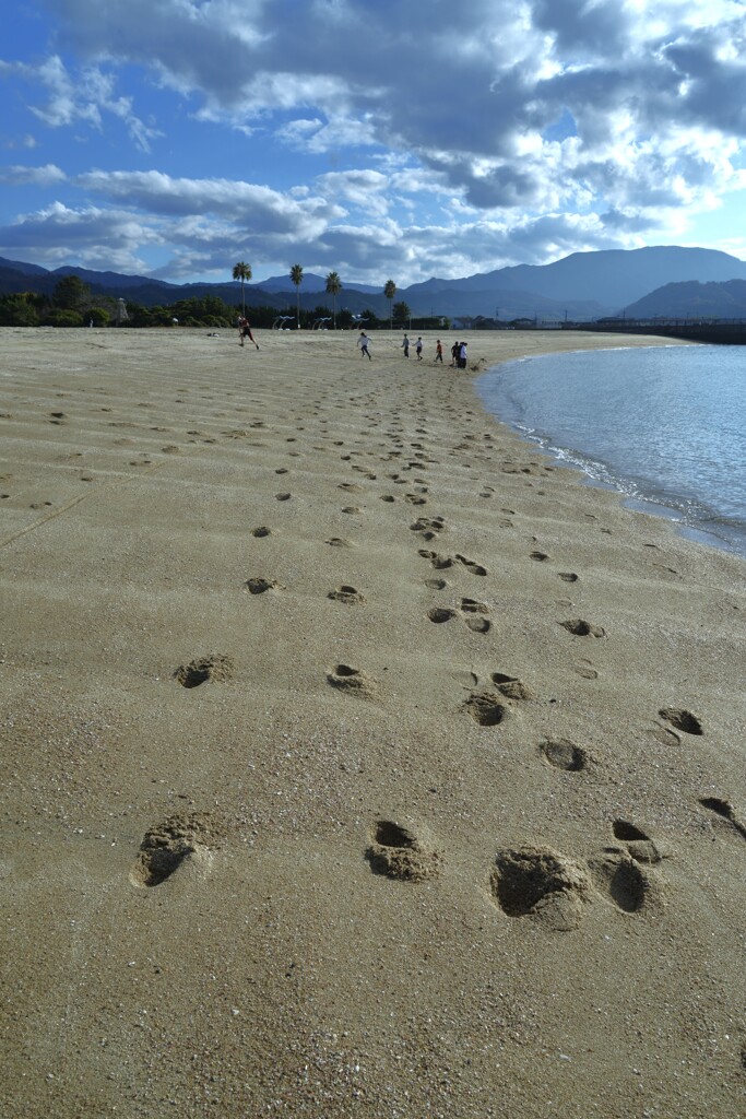 あの夏の日はどこへ　②。。。！