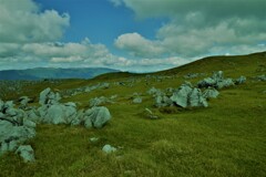 神が造った芸術品。。。！