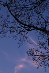 夕空を仰ぎ見る。。。！