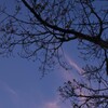 夕空を仰ぎ見る。。。！