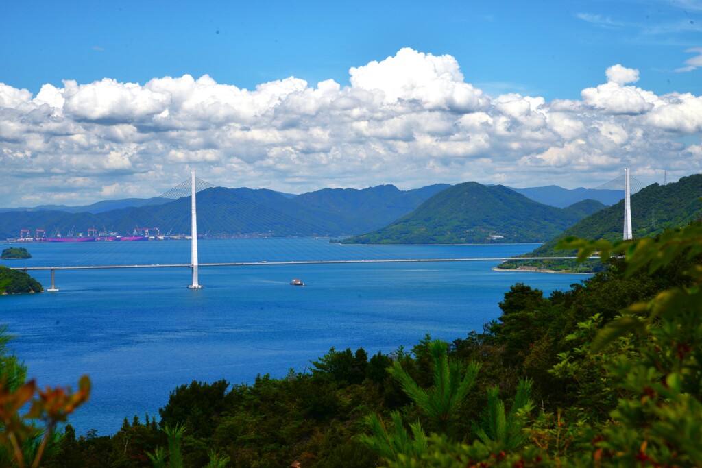 夏のしまなみ海道ど真ん中　。。。！