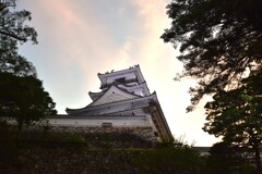 金色のお堀と高知城　②。。。！