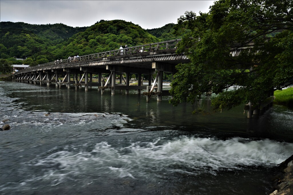 小雨降る渡月橋　①。。。！