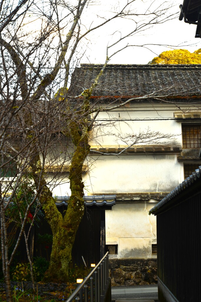 山郷と晩秋　④。。。！