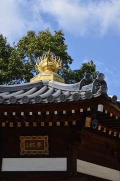 紅椿と大宝寺　⑥。。。！