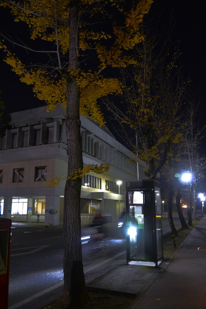 真夜中のライダー　。。。！