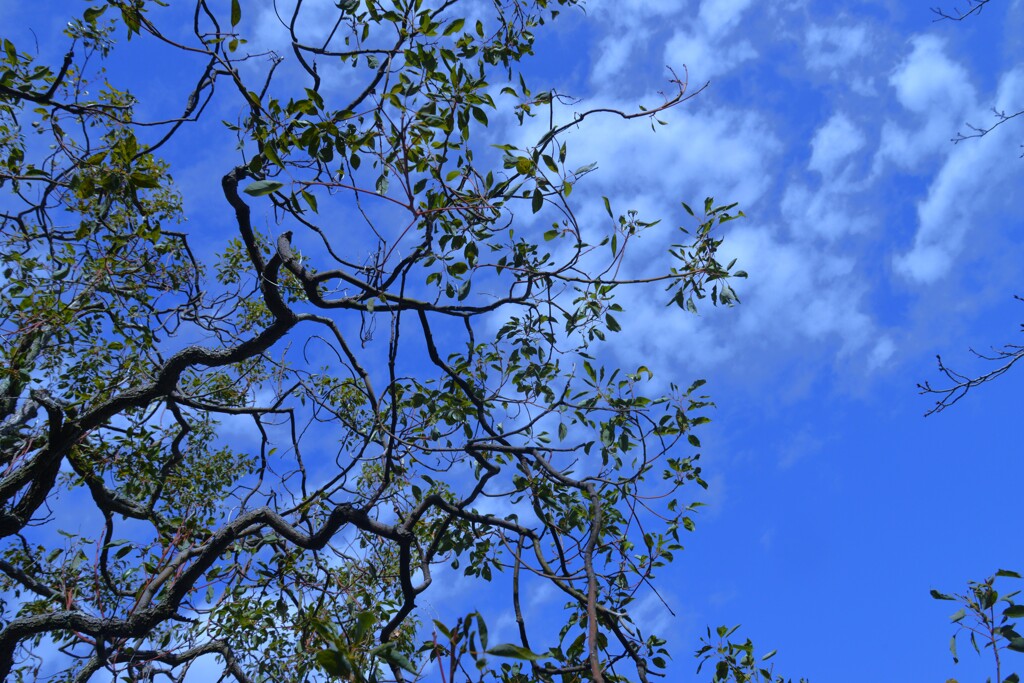 冬の晴れ間　。。。！