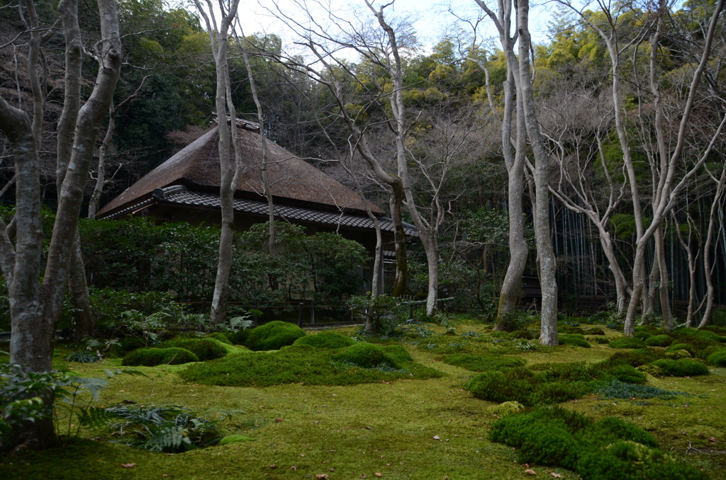 冬の静寂　①。。。！